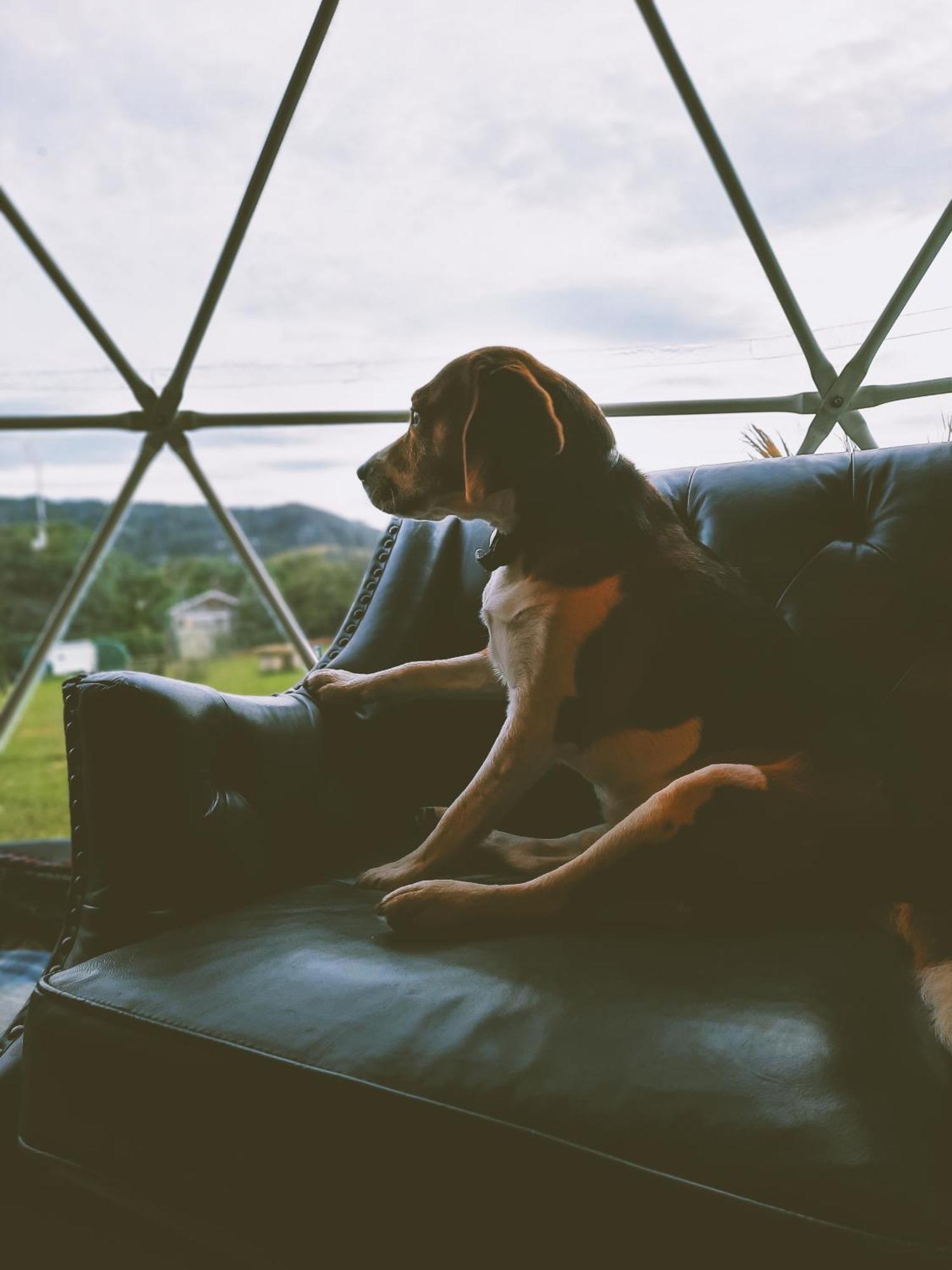 Greenacres Glamping Luxuszelt 2*