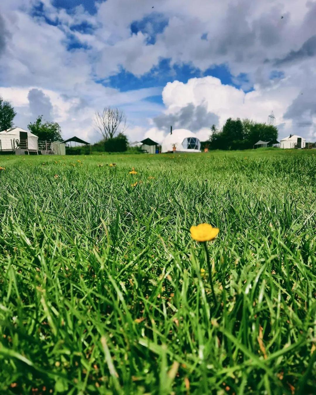 Greenacres Glamping Luxuszelt Lea (Herefordshire)